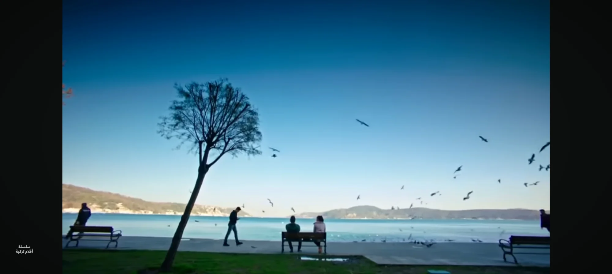 تنظيف واجهة المنزل